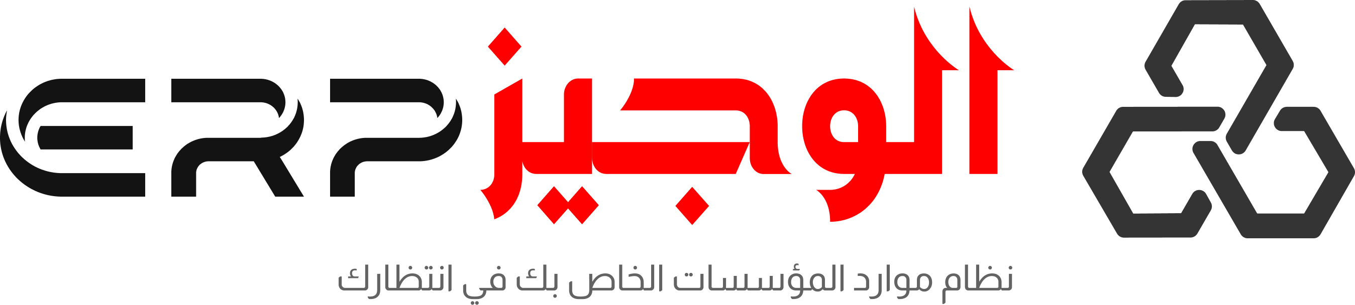ALZERP